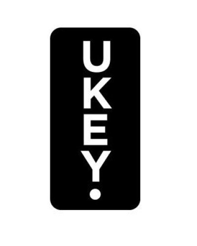 SH-03 (UK-01 UKEY) (упак 10 шт). Идентификатор. BAS-IP в Новошахтинске