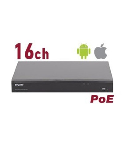 RK2216-P. Видеорегистратор IP 16-канальный. Beward в Новошахтинске