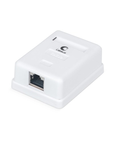WS-8P8C-Cat.5e-SH-1 (7485c): Розетка RJ-45 в Новошахтинске