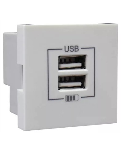 Розетка USB двойная, зарядная, белая (45439 SBR): Розетка USB двойная в Новошахтинске