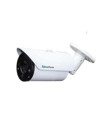 EZN-268V. Видеокамера IP купольная. EverFocus в Новошахтинске