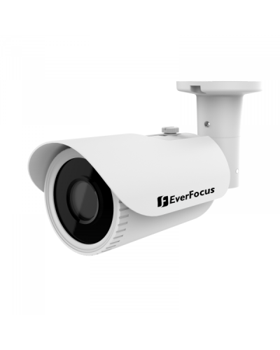 EZA-2580. Видеокамера мультиформатная цилиндрическая . EverFocus в Новошахтинске
