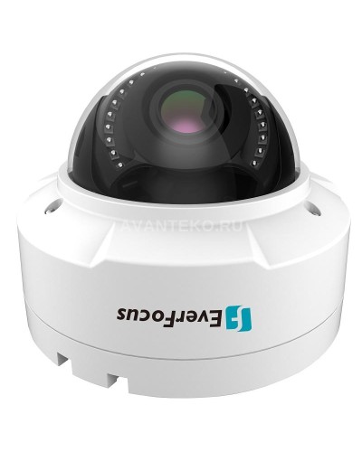 EHN-1250. Видеокамера IP купольная. EverFocus в Новошахтинске