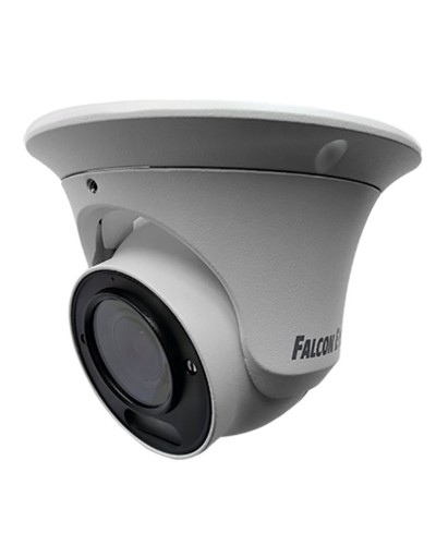FE-IPC-DV5-40pa. Видеокамера IP купольная. Falcon EYE в Новошахтинске