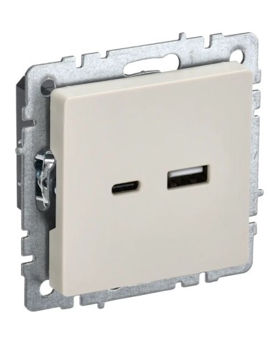 Розетка USB A+C 18Вт РЮ11-1-БрКр бежевый BRITE (BR-U22-018-K10). Розетка USB. IEK в Новошахтинске
