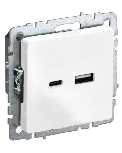 Розетка USB A+C 18Вт РЮ11-1-БрБ белый BRITE (BR-U22-018-K01). Розетка USB. IEK в Новошахтинске