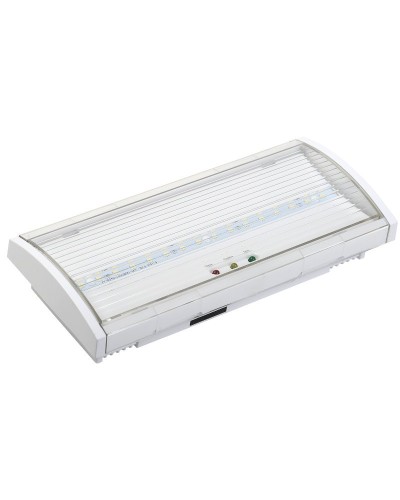 Светильник аварийный ДПА 5040-3 3ч IP54 LIGHTING (LDPA0-5040-3H-K01). Светильник аварийный постоянного действия. IEK в Новошахтинске