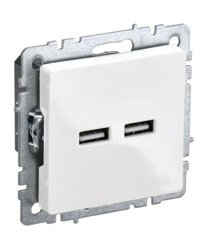 Розетка USB A+A 3,1А РЮ10-1-БрБ белый BRITE (BR-U21-D31-K01). Розетка USB. IEK в Новошахтинске