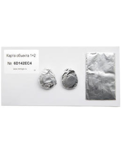 Карта объекта 1+2. Проксимити карта. IronLogic в Новошахтинске