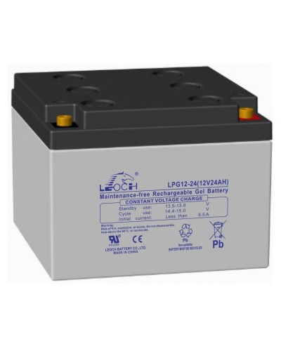 LEOCH LPG 12-24. Аккумулятор герметичный свинцово-кислотный. LEOCH в Новошахтинске