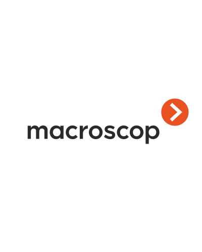 Расширение с LS до ST. Программное обеспечение (опция). MACROSCOP в Новошахтинске