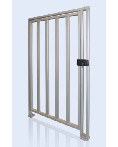 PERCo-WHD-15. Калитка. PERCo в Новошахтинске