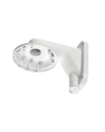 RVi-1BWM-5 white. Кронштейн настенный. RVi в Новошахтинске