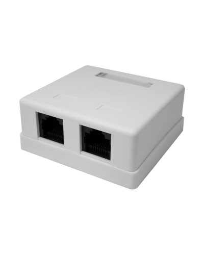 Розетка настенная RJ-45, 8P8C, Cat.5e, 2 порта UTP (10-0309): Компьютерная розетка в Новошахтинске