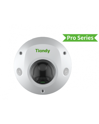 TC-C32PS I3/E/Y/M/H/2.8/V4.2. Видеокамера IP купольная. Tiandy в Новошахтинске