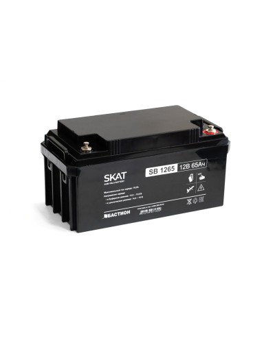 SKAT SB 1265 (2541). Аккумулятор герметичный свинцово-кислотный. Бастион в Новошахтинске