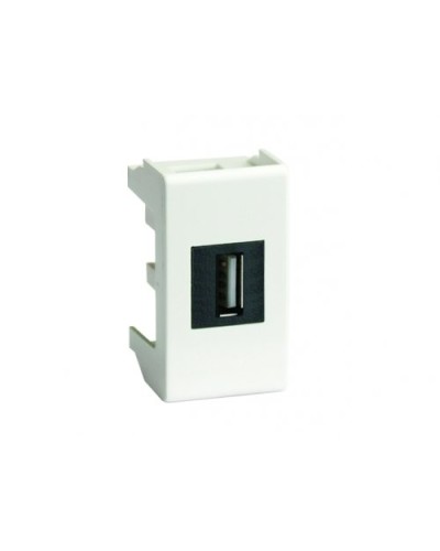 Розетка USB 2.0 Brava 1 модуль слоновая кость (75200S): Розетка USB в Новошахтинске