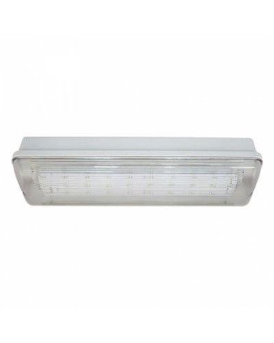 SL-223-30LED1.8 исп.1 IP54. Светильник аварийного освещения. ИП Раченков А.В. в Новошахтинске