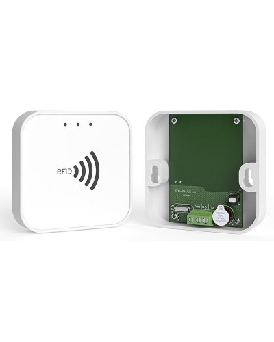 RFID-TM. Считыватель RFID. Ритм в Новошахтинске